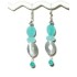 Sea Green and Grey Dangle Earrings